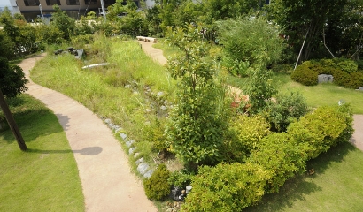 Biotope landscape